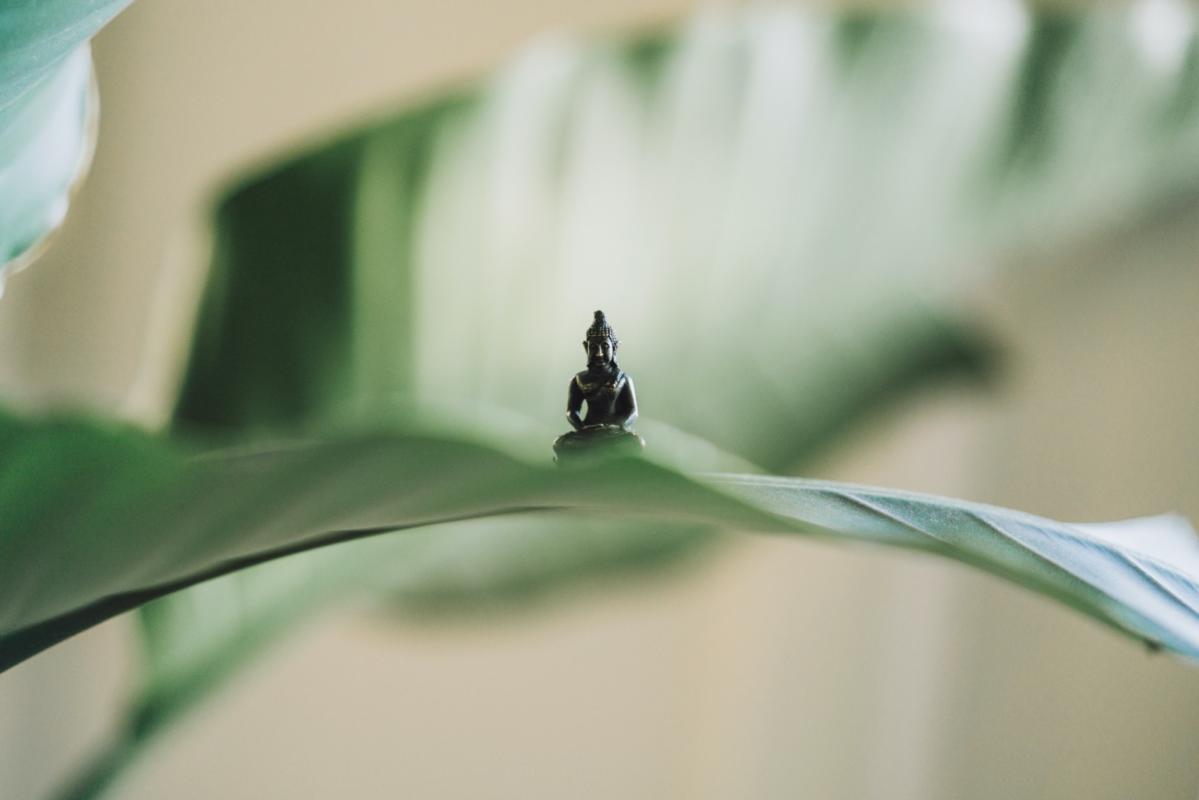Why It’s So Hard to Practice Mindfulness in the Midst of Terrorism